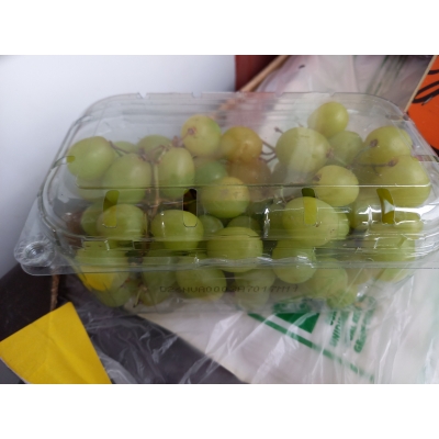 Druiven Witte Pitloos, prijs per Bakje 500 Gram